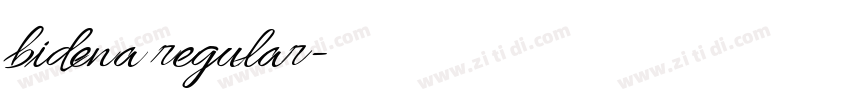 bidena regular字体转换 bidena regular字体转换